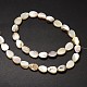 Natural Freshwater Shell Drop Bead Strands BSHE-M022-03-2