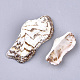 Sea Shell Beads SSHEL-S258-56-2