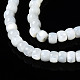 Chapelets de perles de coquille de trochid / trochus coquille SSHEL-S266-018A-01-3