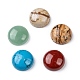 Cabochons in gemstone naturale X-G-H1596-FR-15mm-M-2