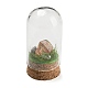 Natural Gemstone Nuggets Display Decoration with Glass Dome Cloche Cover DJEW-B009-04-2