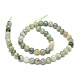 Natürliche Myanmar Jade Perlen Stränge G-O201A-19A-2