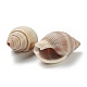 Cuentas de concha de caracol naturales BSHE-H015-15-2