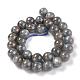 Natural Gemstone Labradorite Round Beads Strands G-E251-33-12mm-5