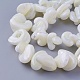 Chapelets de perles de coquillage SSHEL-E571-37-1