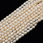 Fili di perle di perle d'acqua dolce coltivate naturali, riso, bianco crema, 6~8x5~6mm, Foro: 0.8 mm, circa 48pcs/filo, 13.77 pollice~14.17 pollici
