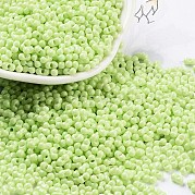 Выпечка краска стеклянные бусины SEED-A033-05S
