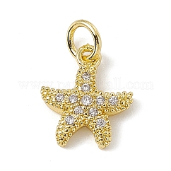 Ottone micro spianare fascino zirconi,  cadmio& piombo libero, con anelli di salto, ciondoli stella marina, vero placcato oro 18k, 13.5x10.5x2mm, Foro: 3.4 mm