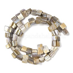 染め天然淡水シェルビーズ連売り  ナゲット  古いレース  7.5~9x9.5~15x5~9mm  穴：0.9mm  約42~50個/連  14.45''~14.76''（36.7~37.5センチメートル）&nbsp;SHEL-P016-01E