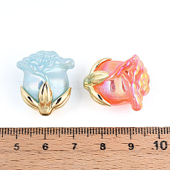 Акриловые бусины с переливающимся покрытием MACR-C029-06