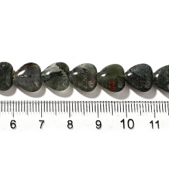 Природные африканские гелиотроп бисер пряди G-R190-10mm-56