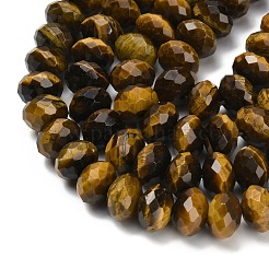 Природных тигровый глаз бисер нитей&nbsp;G-C259-A01-8x12mm-02