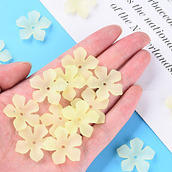 Прозрачные акриловые бусины&nbsp;MACR-S373-119-D03