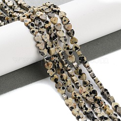 Природные яшмы далматин бисер нитей&nbsp;G-M403-A31-01