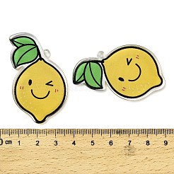 Непрозрачные печатные акриловые подвески OACR-I020-06B