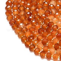 Природного сердолика нитей бисера G-P573-A53-01