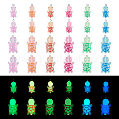 48 шт. 12-х стилевые подвески из светящейся смолы&nbsp;JACR-TA0001-02