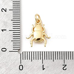 Латунные подвески&nbsp;KK-Z135-10G