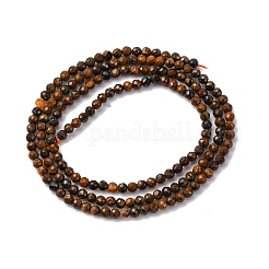 Природные тигр железа бисер нитей&nbsp;LS-G-RM250104-B5