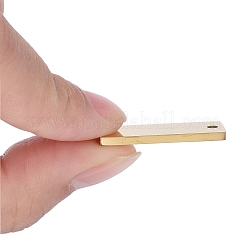 Placcatura ionica (ip) ciondoli in acciaio inossidabile 304&nbsp;LS-STAS-I140-22B-A