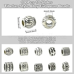 100шт 10 стиля европейские бусины из сплава в тибетском стиле&nbsp;FIND-CJ0003-73