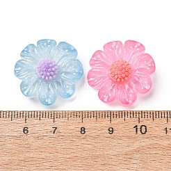 Transparente Harz- und Glitzerpulver-Cabochons&nbsp;RE-CBA0EC6-12