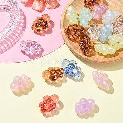 20шт 2 стиля акриловые бусины&nbsp;PACR-YW0001-28