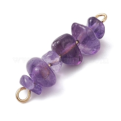 7 шт. 7 стиля чакра натуральная красная яшма & хаулит & тигровый глаз & сердолик & зеленый авантюрин & лазурит & аметист чип бисерные подвески-соединители PALLOY-JF02893