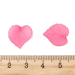 Прозрачные акриловые подвески PL591-3