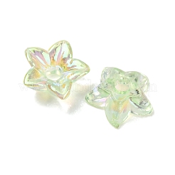 Transparentes bouchons acrylique de perles&nbsp;AC-CBA1E6C-06C