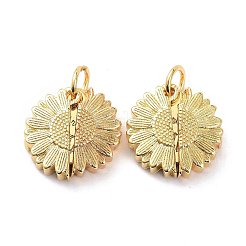 Кулоны из латуни с прозрачным кубическим цирконием&nbsp;LS-KK-D004-14G