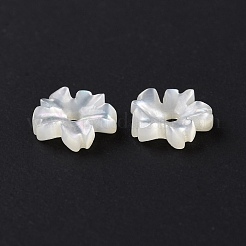 Натуральные белые бусины из ракушек SHEL-F002-04