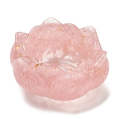 Курильницы из смолы DJEW-H012-01A