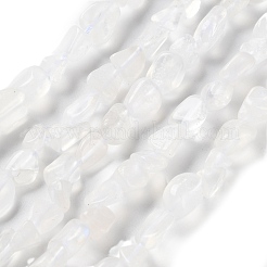 Бусины из натурального радужного лунного камня G-P497-01C-62