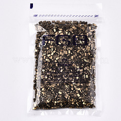 Perles de rocaille en verre fgb 2 trou&nbsp;SEED-S031-M-SH601