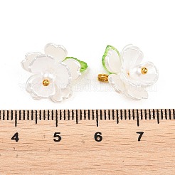 30 Stück Acryl mit Kunststoffperlen-Anhängern&nbsp;PALLOY-JF04066
