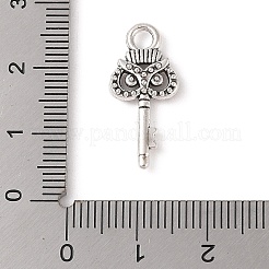 Сплавочные подвески тибетского стиля&nbsp;FIND-C060-058A-AS