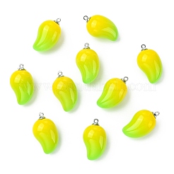 Mango-Anhänger aus undurchsichtigem Acryl&nbsp;FIND-CJZ0001-007