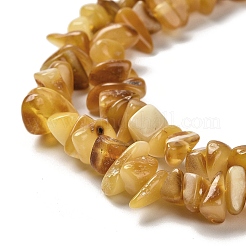 Perline ambra naturale fili&nbsp;G-L095-N01-01