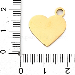 Pendentifs en acier inoxydable 304&nbsp;LS-STAS-M117-01B-G