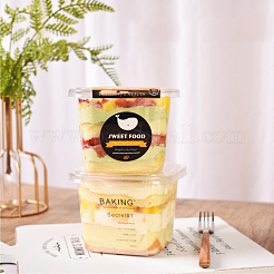 Индивидуальные пластиковые коробки для тортов BAKE-PW0002-32