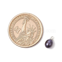 Подвески из окрашенного натурального культивированного пресноводного жемчуга PALLOY-TA00244