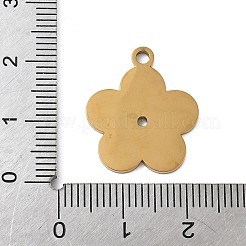 Подвески из нержавеющей стали 304 с эмалью&nbsp;STAS-K312-07F-G