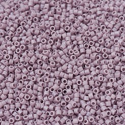 Perline miyuki delica piccole&nbsp;X-SEED-J020-DBS0875