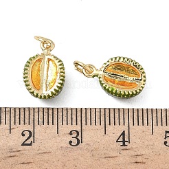 Латунь эмаль подвески&nbsp;KK-L256-44G-04