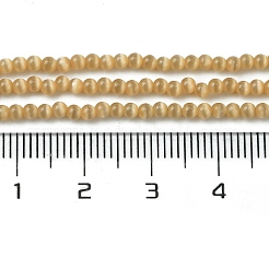 Кошачие глаза CE-Z001-01G