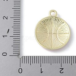Pendentifs d'émail en alliage&nbsp;PALLOY-R153-02G-01