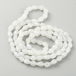 Perles en verre electroplate&nbsp;EGLA-CJC0001-03