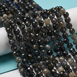 Природные иолит нитей бисера G-A097-A14-09