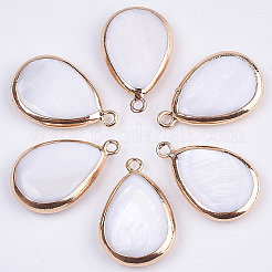 Природные подвески оболочки пресноводных&nbsp;SHEL-BC0001-001